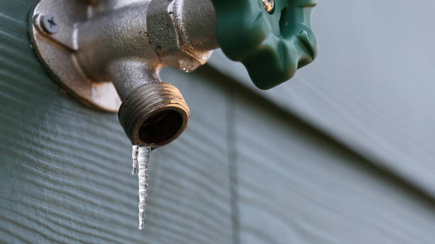 Best Clogged Drain Plumber  in Newton, MS
